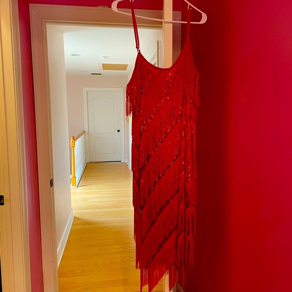 Dresses & Skirts - GATSBY style NWTS Flappers fringe red dress XL .Dre allot of stretch Fits a M-XL